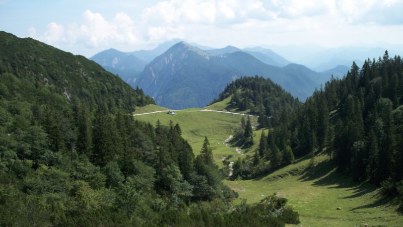 blickzurckaufdenanfahrtsweg.jpg