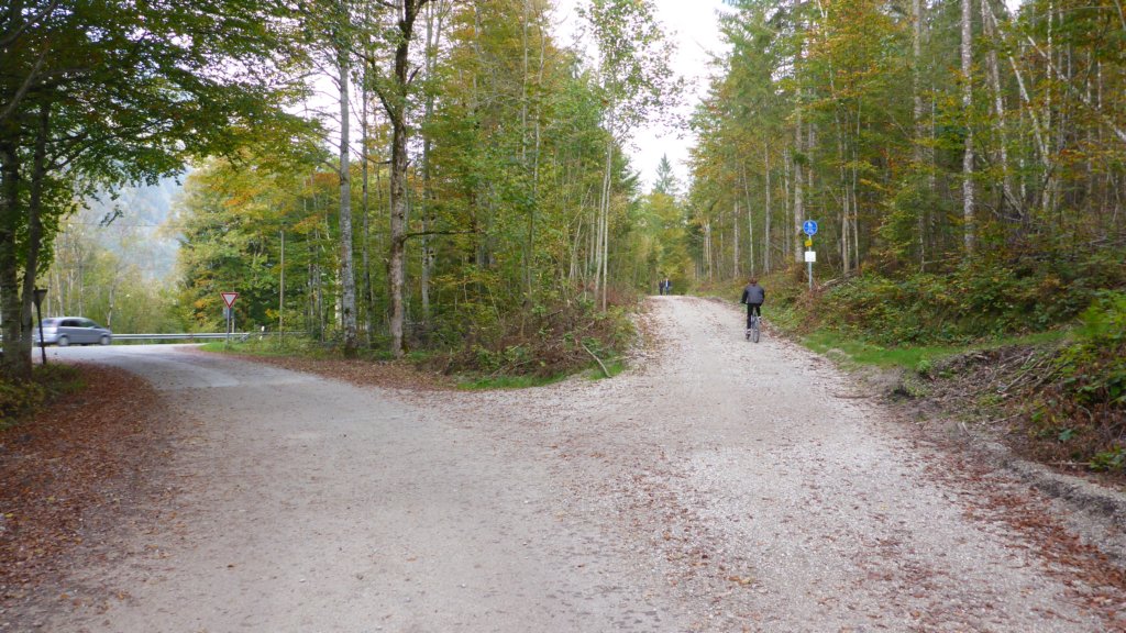 weiteraufdemradweg.jpg