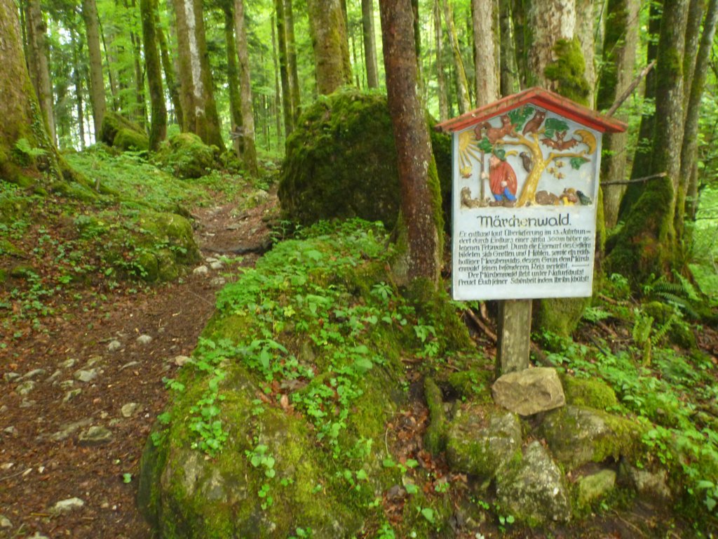eingangzummrchenwald.jpg