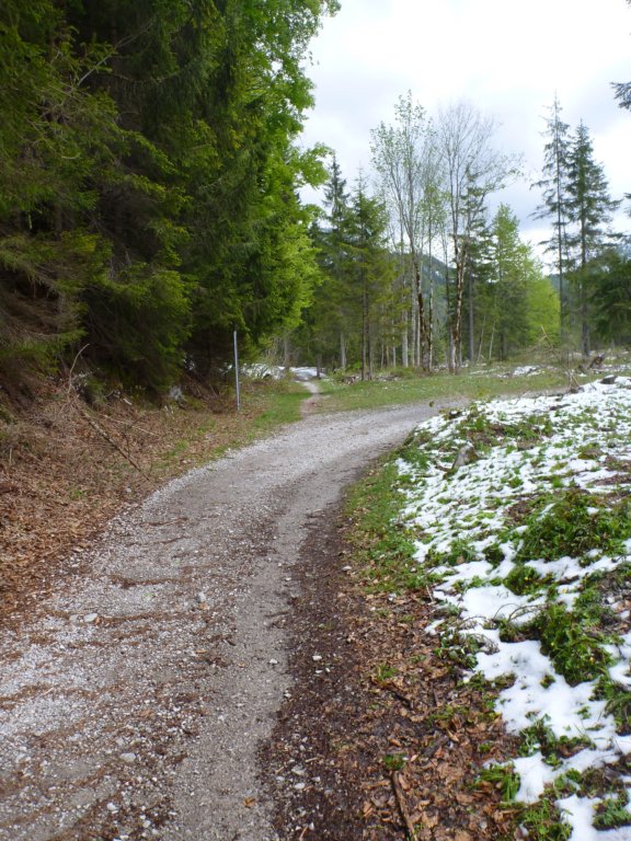 geradeausaufdenschmalenpfadabzweigen.jpg