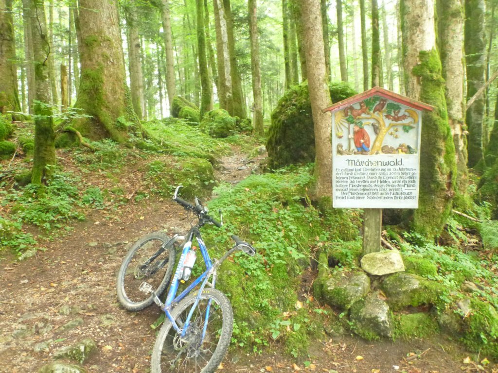 wegdurchdenmrchenwald.jpg