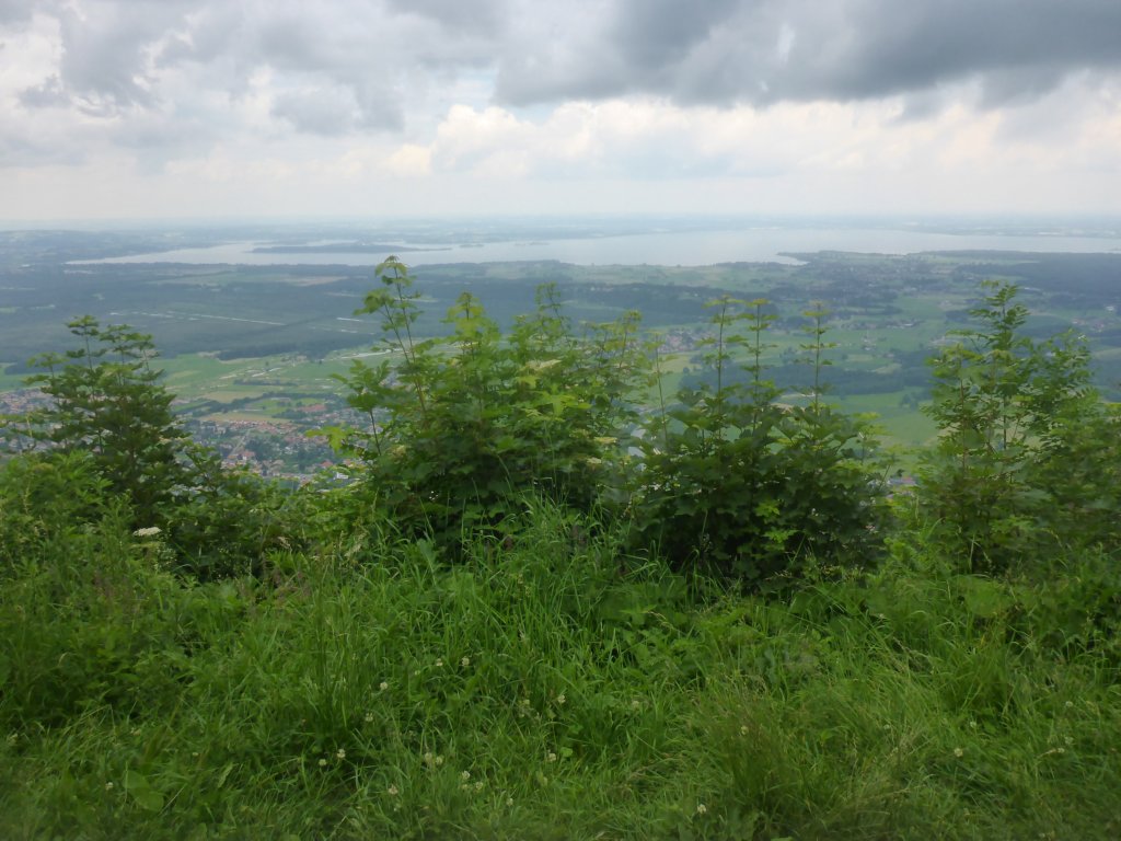 blickzumchiemsee.jpg
