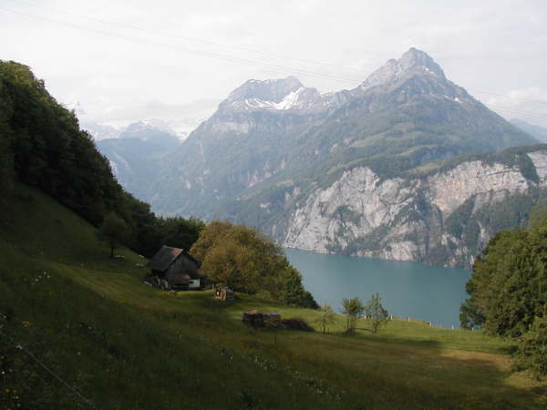 Blick auf den Vierwaldstetter See bei Schilti