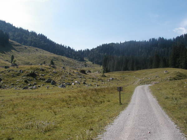 weiter bergauf Richtung Freudenreichalm