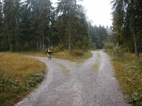 und kurz darauf wieder links abzweigen