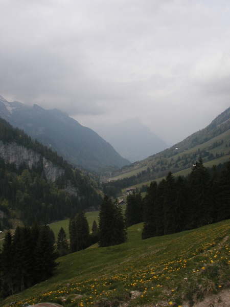 Blick zur�ck ins Riemenstaldner Tal