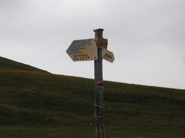 Wegweiser mitten in der Wiese
