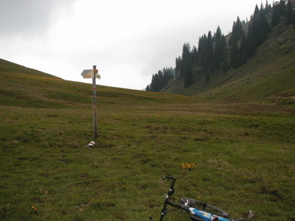 Das Rad links bergauf auf kaum erkennbaren Pfad tragen