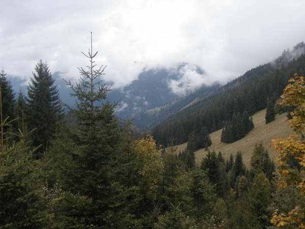 Blick ins Marbachtal