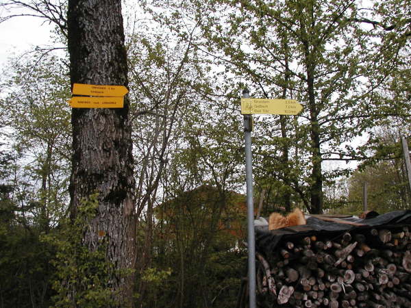 Richtung Steinbachtal/Aueralm halten