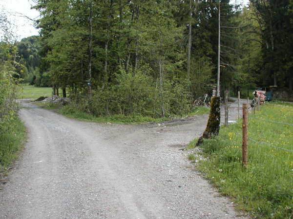 geradeaus/leicht links halten