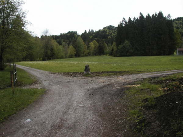 dem linken Weg folgen