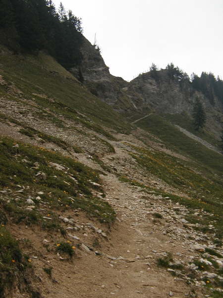 Pfad zum Wannentritt