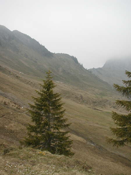 weiter auf dem Pfad zum Laubgarten