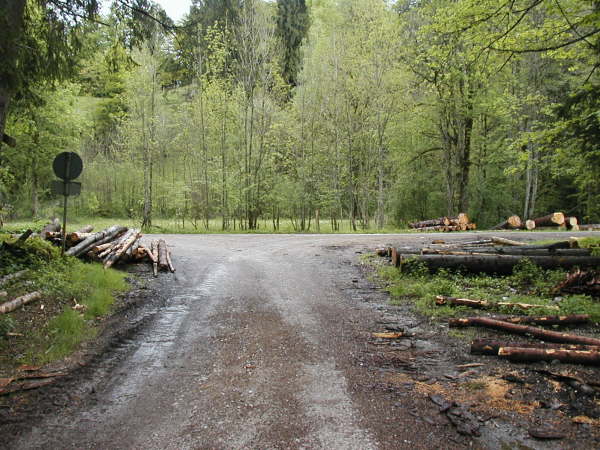 rechts auf die Asphaltstrae abbiegen