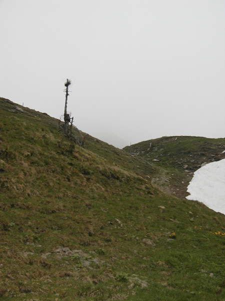kurz vor dem Laubgarten