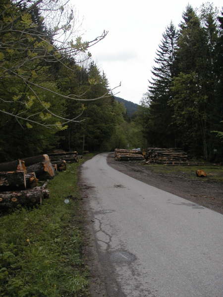 Dieser nun stets bergauf folgen