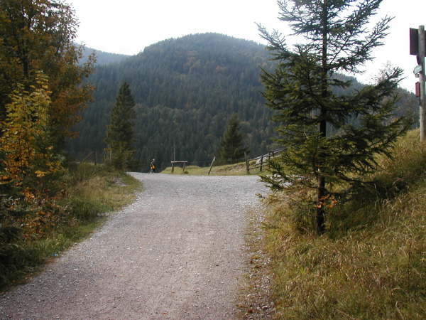 Mndung an der Wegekreuzung nhe Ochsenalm