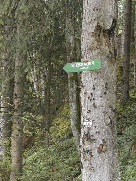 Richtung Steinbachtal / Aueralm