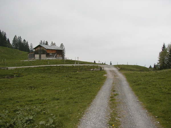 M�ndung mit Forststra�e