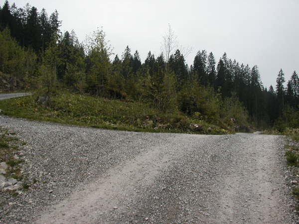 geradeaus weiter bergab