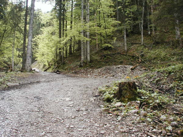 den links/geradeaus fhrenden Weg bergauf fahren