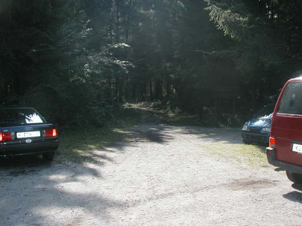 Dem Weg in den Wald hinein folgen