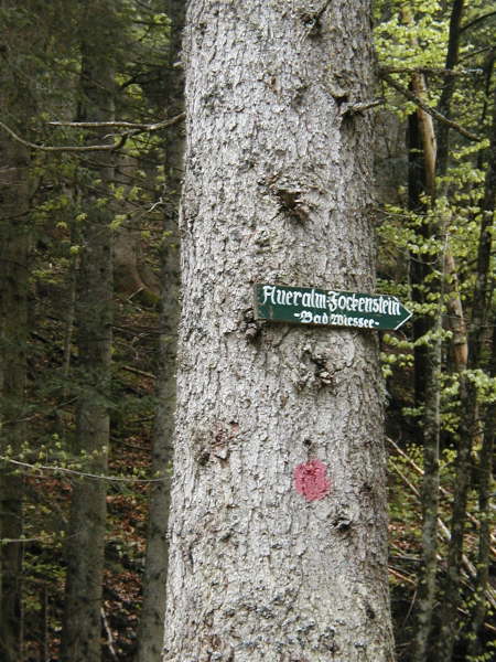 Richtung Aueralm Bad Wiessee