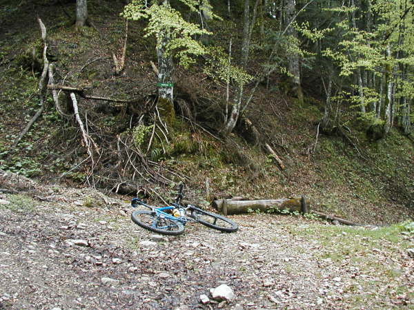 Am verfallenen Wassertrog links dem Hauptweg folgen