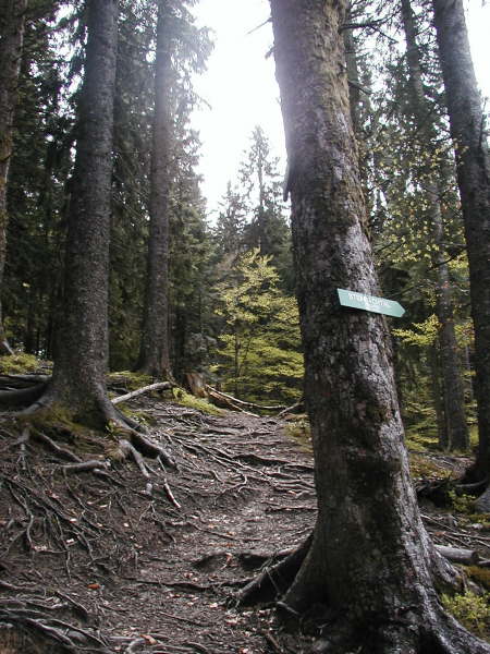 gleich wieder rechts hinauf das Bike tragen