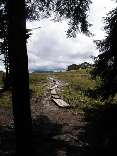 ber die Holzstege zur Aueralm