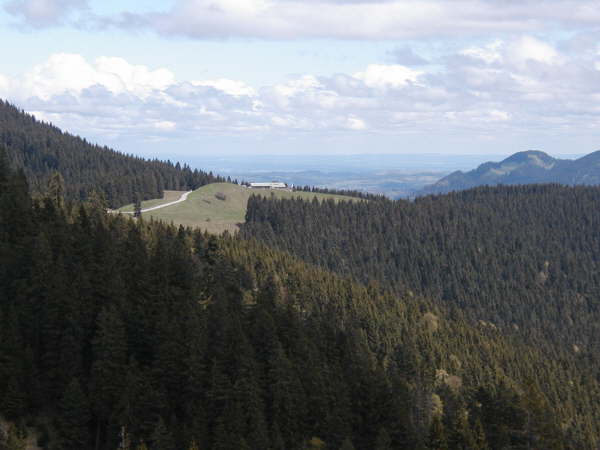 Blick zur Aueralm / Alpenvorland