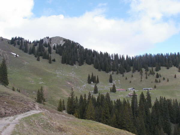 Blick zurck zur Neuhttenalm