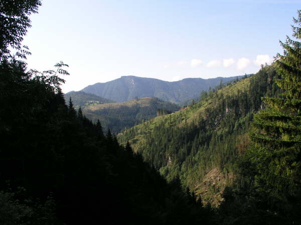 Blick Richtung E.H.J.-Klause