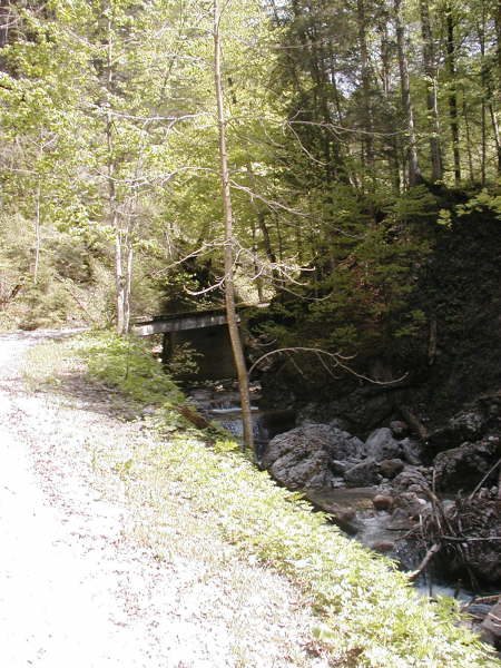 Downhill am Bach entlang