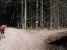 km 2.5 Abzweigung im Wald