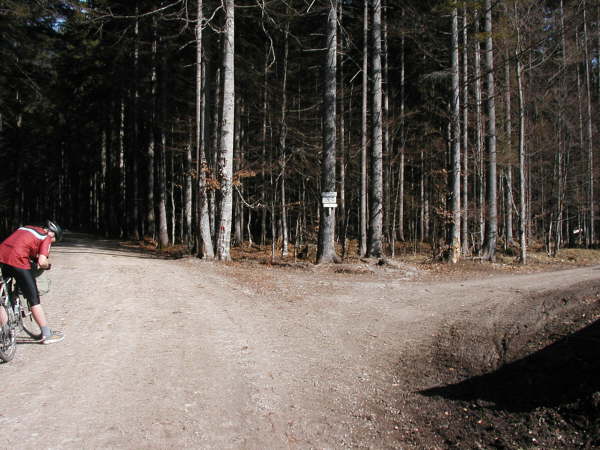 km 2.5 Abzweigung im Wald