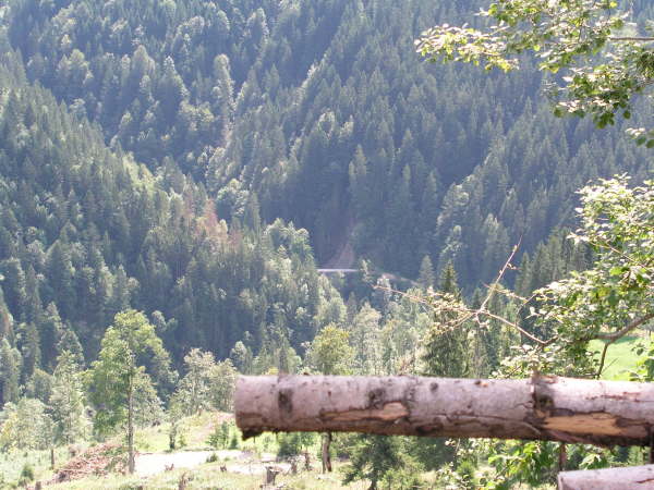 Blick hinunter ins Grundachetal