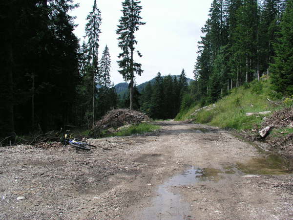 Am hchsten Punkt angekommen