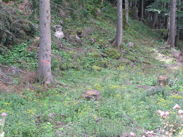 Dem Weg mit dem Pfeil folgen