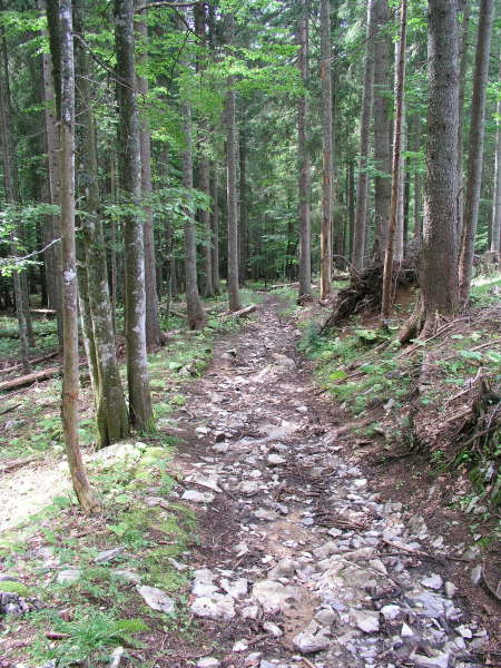 Jetzt dem Trial folgen