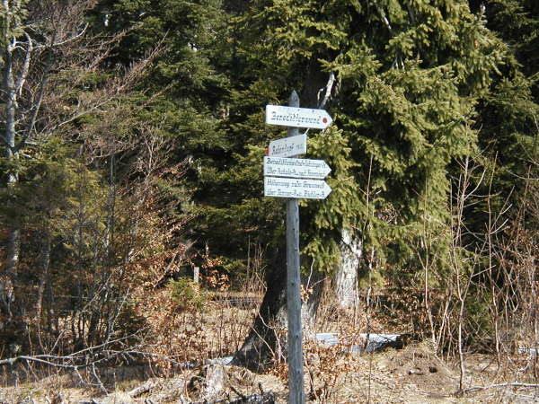 Richtung Benediktenwand fahren