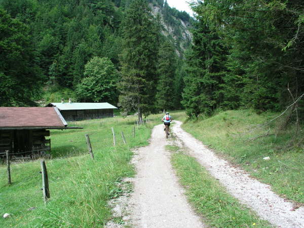 Mndung an dem Forstweg von Kreuth 