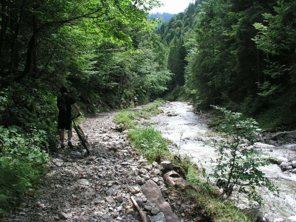 Dem Weg am Bach entlang folgen