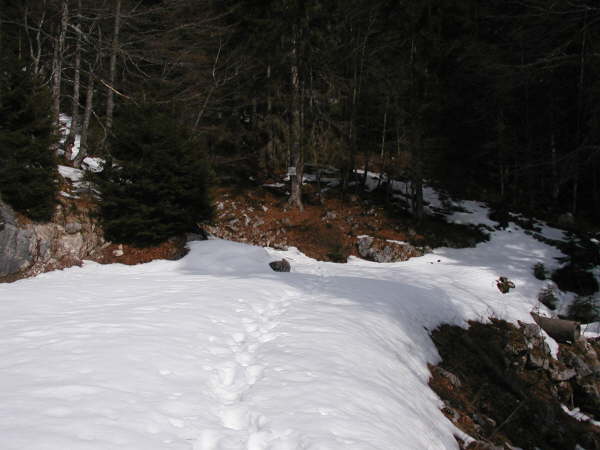 km 8.6 jetzt heit es tragen