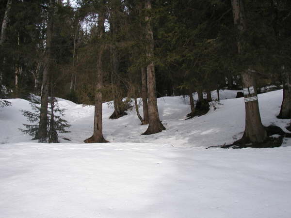 Der Blick hoch zur Glaswandscharte