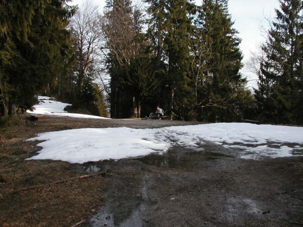 km 13.9 Kurz vor dem lngeren Downhill am Langenecksattel