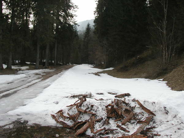 km 16.6 Der Weg zurck