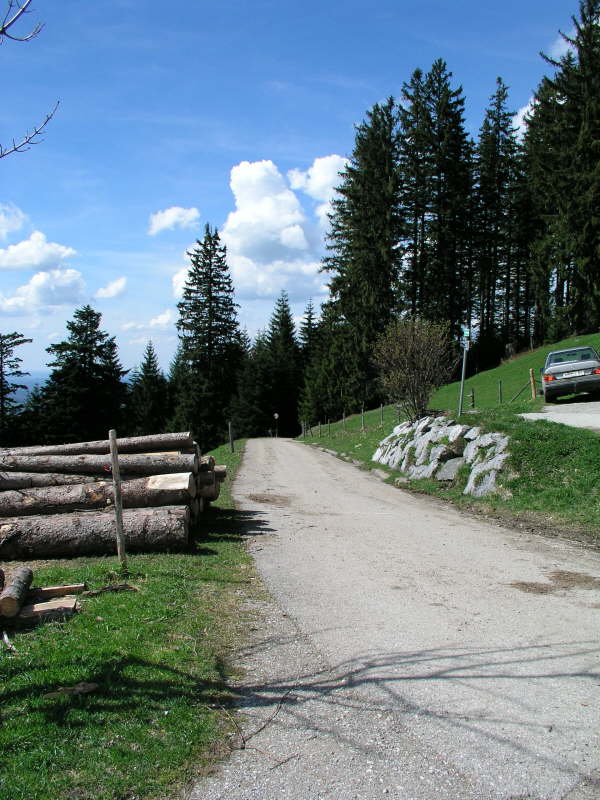 Der Asphaltstra�e bergab folgen