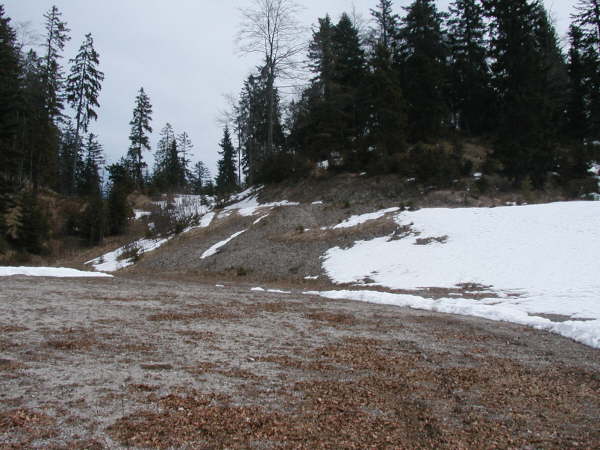 Am Ende des Kiesweges